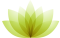 Lotusblume